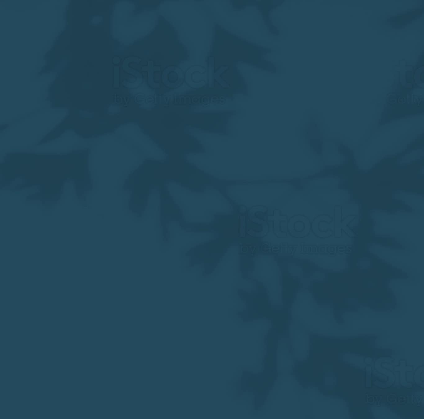 The shadow of a tree on a blue background showcases the serene beauty of Mayfair homes in New Braunfels Texas.