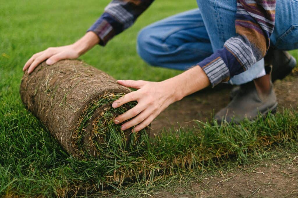 Worker laying artificial turf roll